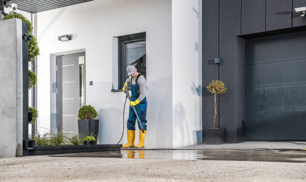 Best Soft Washing  in Holly Hills, CO